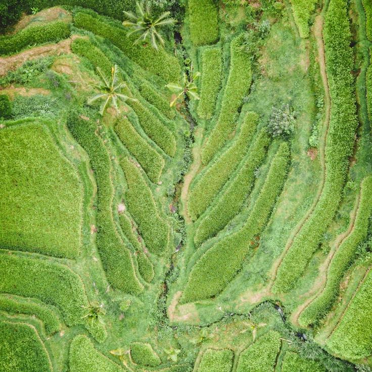 Entertainment zone at night in Spain